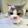 suyu1_