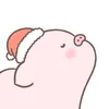 dongchach1