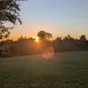 jojo_h427