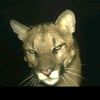 omar_ox0