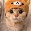michi._.1019