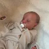 natureslittleworld