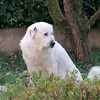 camille.3164