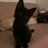 olivia_jonathan1