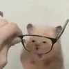 enzoprogameroficial.13