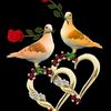 user84857522481672