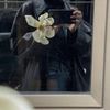 wllii_3