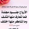 user7661704268675