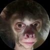 jessman444