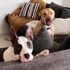 Emma&Zeus