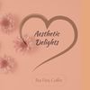 aesthetic.delights