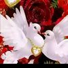 user4953015999210
