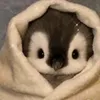 meowmeow_cutieww