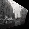 zuohang225062