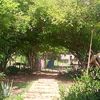 carlosrengifo9056
