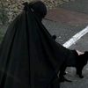 مهاجرة١٤٢٦ه‍ـ