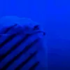 cocain_chik3
