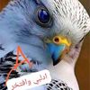 user7121824731957