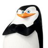 bubbi_bjoern