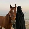 norhanyoussef8