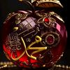 hanem.kamel