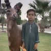 saeedullhaq10