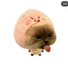 username1607233