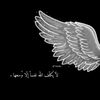 lkl_41