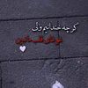 banoo__hussaini