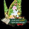 maysoub55