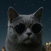 user862101541