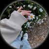 papatya_14_94