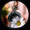 user2007022329558