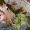 alishbaa369