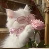 aniennn_07