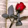 user3195626006256