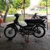 grd.hitam
