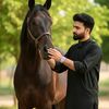 ladibhai08