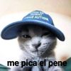 vamoscerrandoel0gt