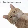 thnhphi3