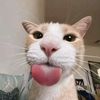 hildan_syahptr33