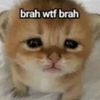 yvng4pxxr