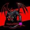 vasile124507