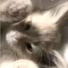 kht.gniadykotek_yt