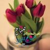 user9181747190049