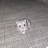 mijko8