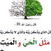 user11450734827025