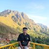 tomsyptr_01