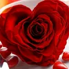 user9391255070003