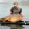 moving_carp